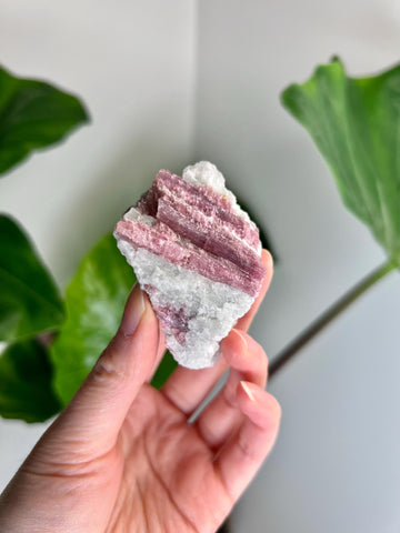 Grade A+ Natural Pink Tourmaline on Aquamarine,A Harmonious Blend of Love and Serenity PTC44, 73g