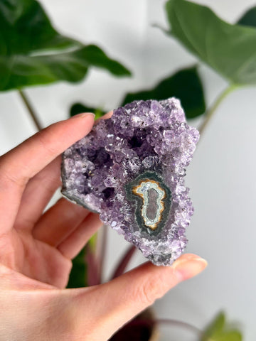 Grade AA Natural Amethyst Flower Stalactite from Uruguay – Unique Formation, High-Energy Healing Crystal - US22, 154g