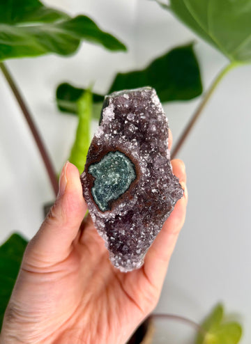 Grade AA Natural Amethyst Flower Stalactite from Uruguay – Unique Formation, High-Energy Healing Crystal - US23, 173g