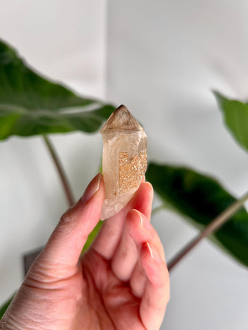 Grade AA Natural Adaptogenic BG3 Citrine Scepter Specimen - with smoky phantom and iron inclusion from Piaui, Brazil ACC21, 26g