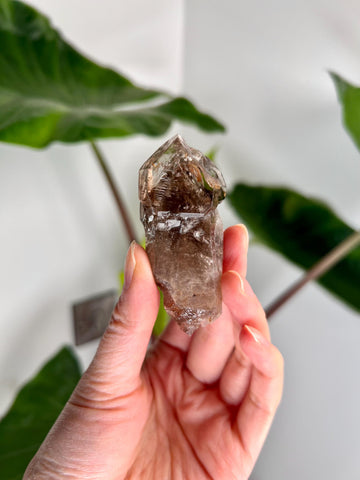 Grade AA Natural Adaptogenic BG3 Citrine Scepter Specimen - with smoky phantom and iron inclusion from Piaui, Brazil ACC28, 54g