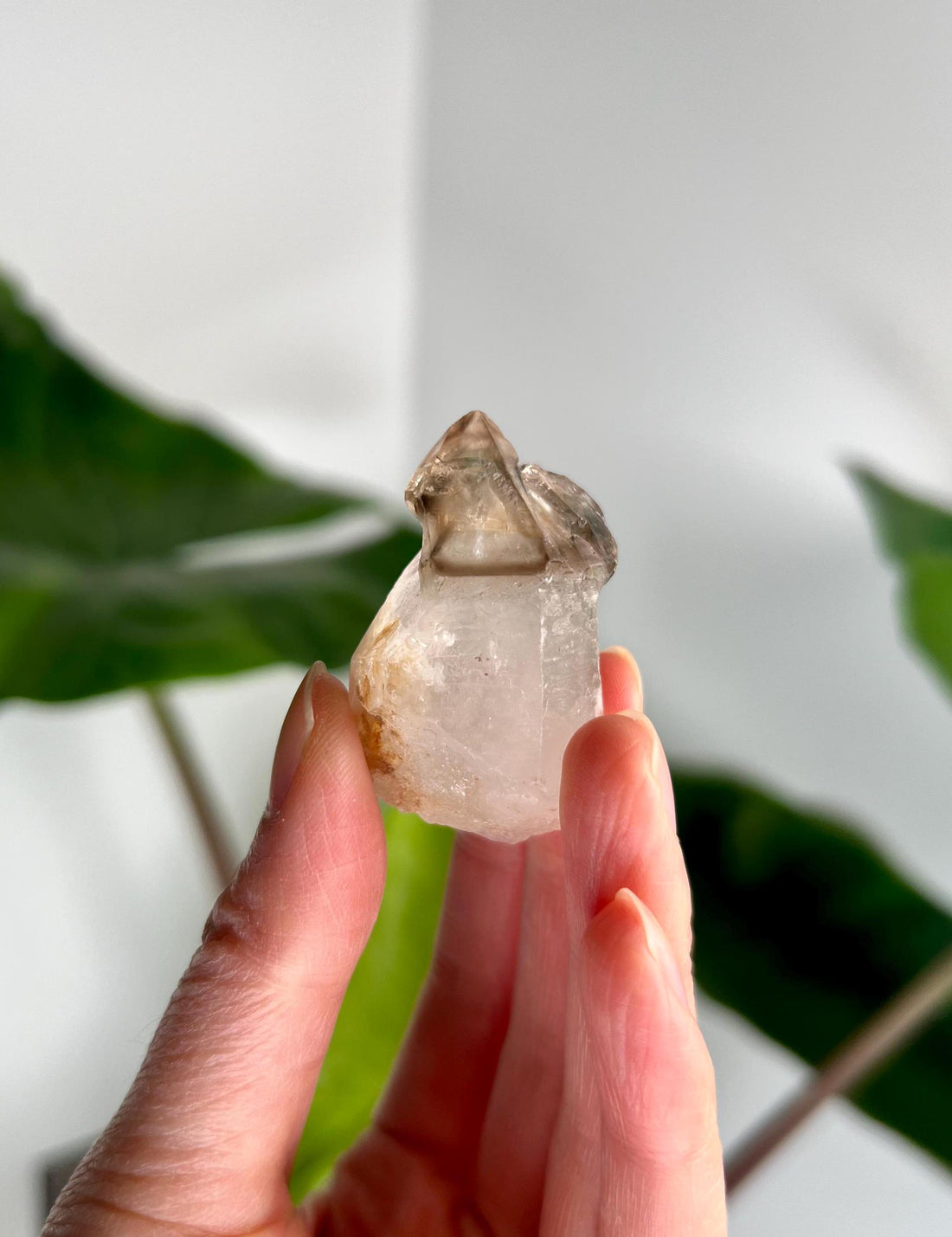 Grade AA Natural Adaptogenic BG3 Citrine Scepter Specimen - with smoky phantom and iron inclusion from Piaui, Brazil ACC38, 28g