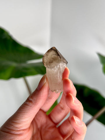 Grade AA Natural Adaptogenic BG3 Citrine Scepter Specimen - with smoky phantom and iron inclusion from Piaui, Brazil ACC47, 15g