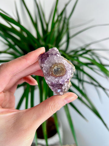 Grade A Natural Amethyst Flower Stalactite from Uruguay – Unique Formation, High-Energy Healing Crystal - US38, 58g