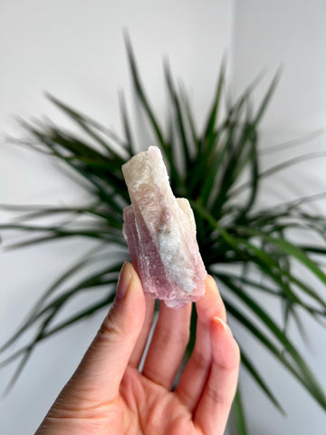 Rare Pink Tourmaline on Aquamarine with Lepidolite Inclusion – Emotional Healing and Spiritual Growth, PTL01, 48g