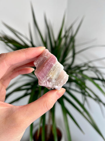 Rare Pink Tourmaline on Aquamarine with Lepidolite Inclusion – Emotional Healing and Spiritual Growth, PTL07, 56g