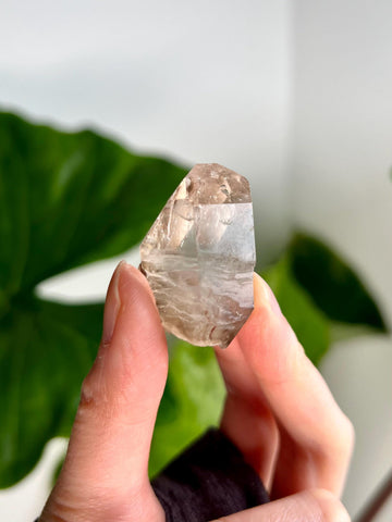 Grade AA 100% Natural Smoky Elestial Quartz - A Portal to Mystical Realms and Vibrant Healing 24g, EQC32