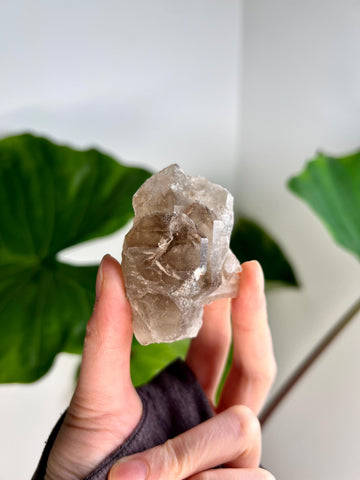 Grade AA 100% Natural Smoky Elestial Quartz - A Portal to Mystical Realms and Vibrant Healing 76g, EQC20