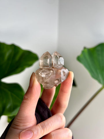 Grade AA 100% Natural Smoky Elestial Quartz - A Portal to Mystical Realms and Vibrant Healing 33g, EQC23