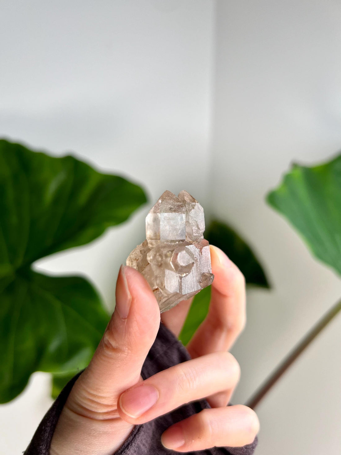 Grade AA 100% Natural Smoky Elestial Quartz - A Portal to Mystical Realms and Vibrant Healing 33g, EQC23