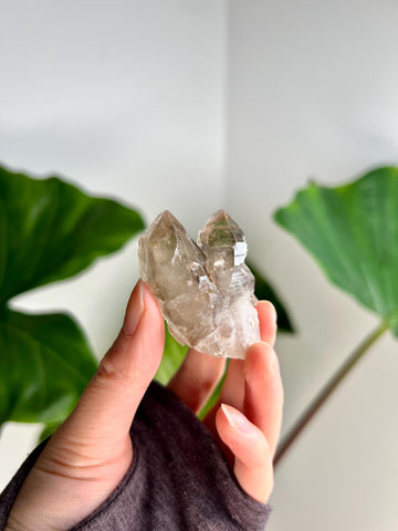 Grade A+ Twin 100% Natural Smoky Elestial Quartz - A Portal to Mystical Realms and Vibrant Healing 47g, EQC21