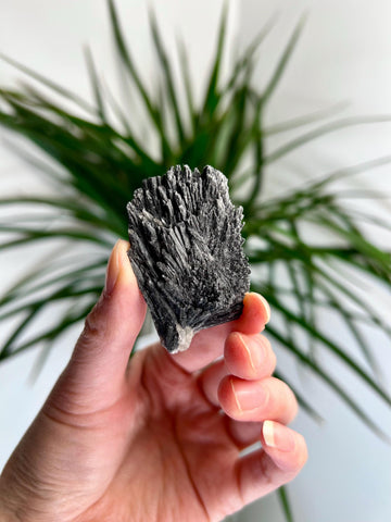 Grade A Natural Black Kyanite Crystal from Araçuaí, Minas Gerais – Hand Selected, BC17, 24g