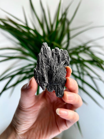 Grade A Natural Black Kyanite Crystal from Araçuaí, Minas Gerais – Hand Selected, BC24, 24g
