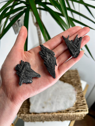 Grade A Natural Black Kyanite Crystal from Araçuaí, Minas Gerais – Special Pick, Multiple Variations D-F