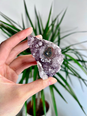 Grade AA Natural Amethyst Flower Stalactite with Calcite from Uruguay – Unique Formation, High-Energy Healing Crystal - US39, 103g