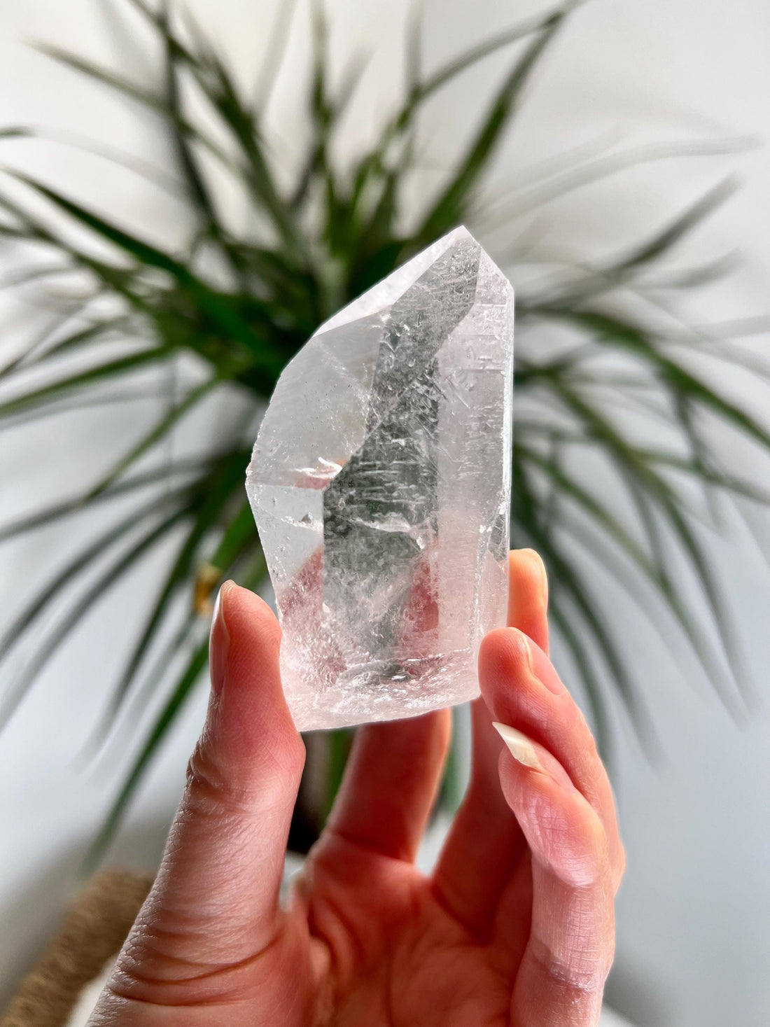 Grade AA Starbrary Quartz – Unique Glyphs, Record Keepers, and Galactic Wisdom, from Tomás Gonzaga, Minas Gerais, Brazil RQG25, 111g