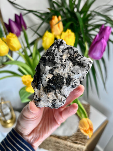 Grade A Black Tourmaline in Quartz – Powerful Energy Shield, Protection & Clarity Stone, from Araçuaí, Brazil BQ10, 220g