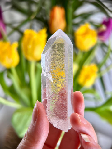 Grade AA Starbrary Quartz – Unique Glyphs, Record Keepers, and Galactic Wisdom, from Tomás Gonzaga, Minas Gerais, Brazil RQG29, 53g