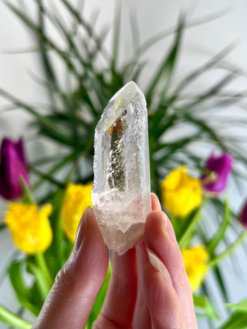 Grade AA Starbrary Quartz – Unique Glyphs, Record Keepers, and Galactic Wisdom, from Tomás Gonzaga, Minas Gerais, Brazil RQG30, 31g