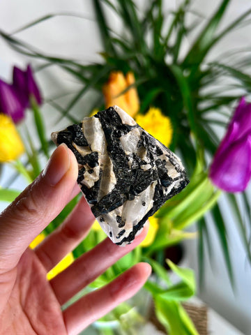 Grade A Black Tourmaline in Quartz – Powerful Energy Shield, Protection & Clarity Stone, from Araçuaí, Brazil BQ07, 152g