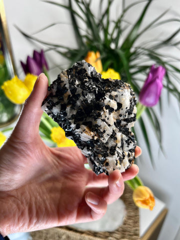 Grade A Black Tourmaline in Quartz – Powerful Energy Shield, Protection & Clarity Stone, from Araçuaí, Brazil BQ09, 257g