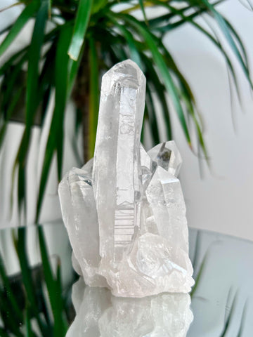 Grade AA+ Natural Clear Quartz Cluster with KEY and Rainbow from Diamantina, 494g, CC02