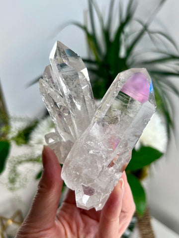 Grade AA+ Natural Clear Quartz Cluster with Chlorite from Diamantina, 245g, CC06