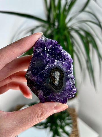 Grade AA Natural Amethyst Stalactite from Uruguay – Unique Formation, High-Energy Healing Crystal - US92, 87g