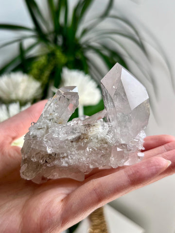 Rare Grade AA+ Natural Clear Quartz Cluster with Chlorite, Unique Bridge formation from Diamantina, 184g, CC12