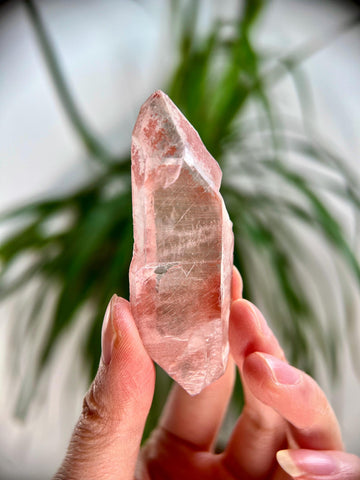 Grade AAA 100% Natural Pink Lemurian DT– Heart-Activating Love, Wisdom & Divine Connection, from Diamantina, Brazil - PL01, 36g
