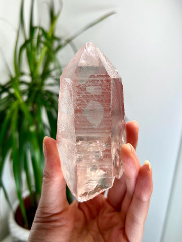 Grade AAA 100% Natural Pink Lemurian Quartz Point–Heart-Activating Love, Wisdom & Divine Connection,from Diamantina - PL16, 243g
