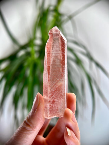 Grade AAA 100% Natural Pink Lemurian Quartz Point–Heart-Activating Love, Wisdom & Divine Connection,from Diamantina - PL23, 50g