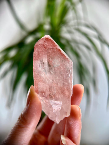 Grade AAA 100% Natural Pink Lemurian Quartz Point with Rainbow–Heart-Activating Love, Wisdom & Divine Connection,from Diamantina - PL24, 70g