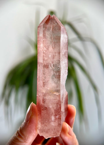 Grade AAA 100% Soulmate Natural Pink Lemurian Quartz Point–Heart-Activating Love, Wisdom & Divine Connection,from Diamantina - PL27, 84g