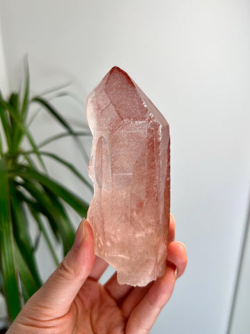 Grade AAA 100% Natural Pink Lemurian Quartz Point–Heart-Activating Love, Wisdom & Divine Connection,from Diamantina - PL30, 249g