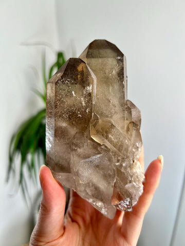 Grade AA+ Natural Etched Smoky Quartz Cluster from Bahia, Brazil SCC07, 376g