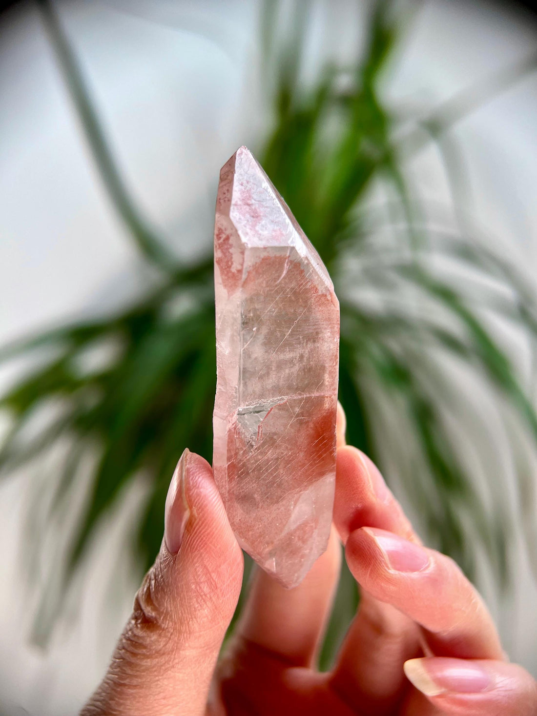 Grade AAA 100% Natural Pink Lemurian DT– Heart-Activating Love, Wisdom & Divine Connection, from Diamantina, Brazil - PL01, 36g