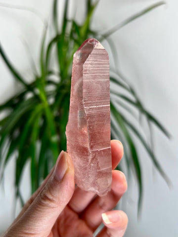 Grade AAA 100% Natural Pink Lemurian Quartz Point–Heart-Activating Love,Wisdom & Divine Connection,from Diamantina - PL09, 85g