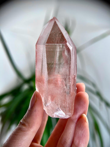 Grade AAA 100% Natural Pink Lemurian Quartz Point–Heart-Activating Love, Wisdom & Divine Connection,from Diamantina - PL12,114g
