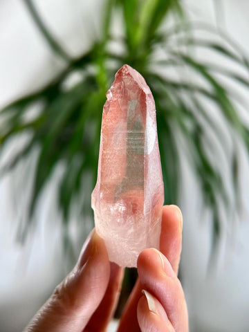 Grade AAA 100% Natural Pink Lemurian Quartz Point–Heart-Activating Love,Wisdom & Divine Connection,from Diamantina - PL15, 41g