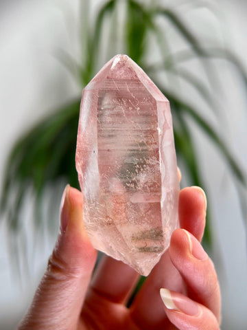 Grade AAA 100% Natural Pink Lemurian Quartz Point with Rainbow and Chlorite – Love, Wisdom & Divine Connection,from Diamantina - PL26, 91g