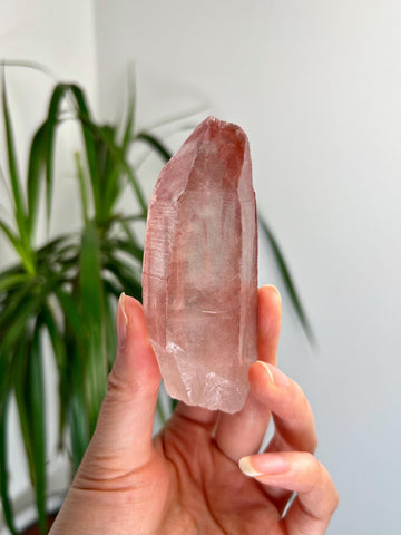 Grade AAA 100% Natural Pink Lemurian Quartz Point–Heart-Activating Love, Wisdom & Divine Connection,from Diamantina - PL28, 129g