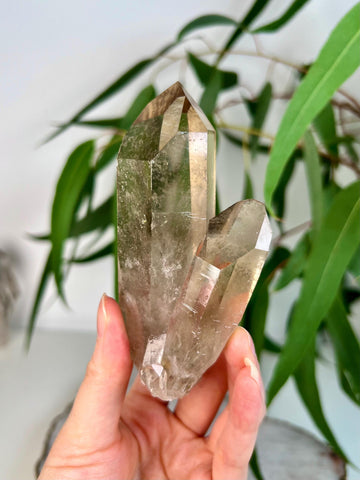 Grade AA+ Natural Etched Smoky Quartz Cluster from Bahia, Brazil SCC21, 211g