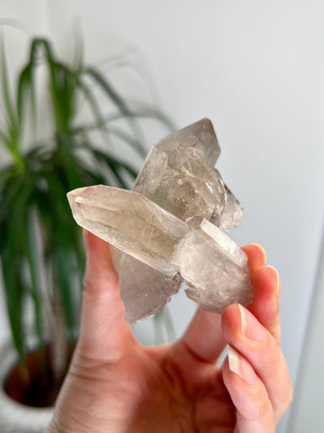 Grade AA+ Natural Etched Smoky Quartz Cluster, Self-Healed with Penetration from Bahia, Brazil SCC02, 98g