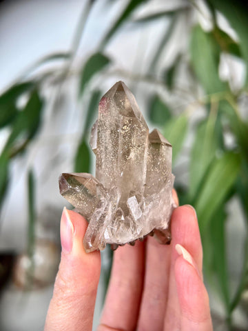 Grade AA+ Natural Etched Smoky Quartz Cluster, Multi-Terminated from Bahia, Brazil SCC22, 75g