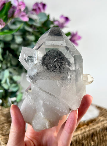 Grade AA Natural Black Phantom Lemurian Quartz | Raw Crystal from Alegre Mine, Sento Sé, Bahia | Rare & High Energy, BLH01, 430g