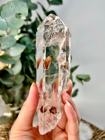 Grade AAA+ Cathedral Lemurian Quartz Point | Self-Healed with Iron Penetration | Akashic Record Access | Diamantina, Brazil- LCC39, 273g