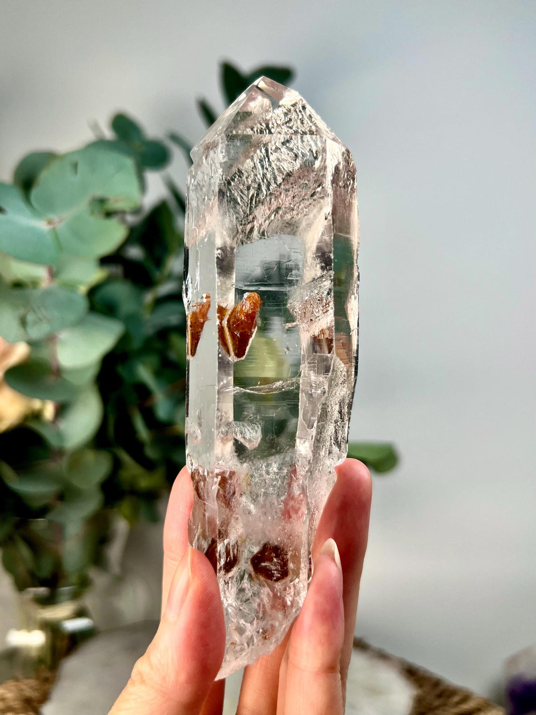 Grade AAA+ Cathedral Lemurian Quartz Point | Self-Healed with Iron Penetration | Akashic Record Access | Diamantina, Brazil- LCC39, 273g