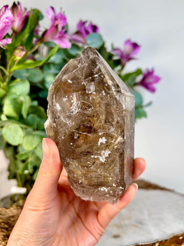 Grade AAA Elestial Smoky Quartz | Natural High-Vibe Formation from Araçuai, Brazil | Unique & Powerful 465g, SEH07