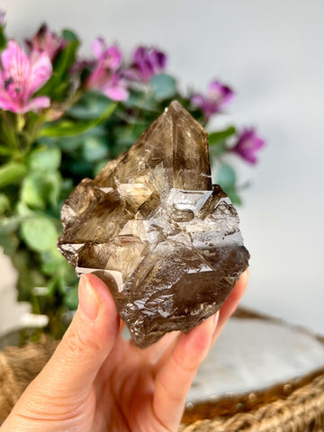 Grade AAA Elestial Smoky Quartz | Natural High-Vibe Formation from Araçuai, Brazil | Unique & Powerful 504g, SEH09